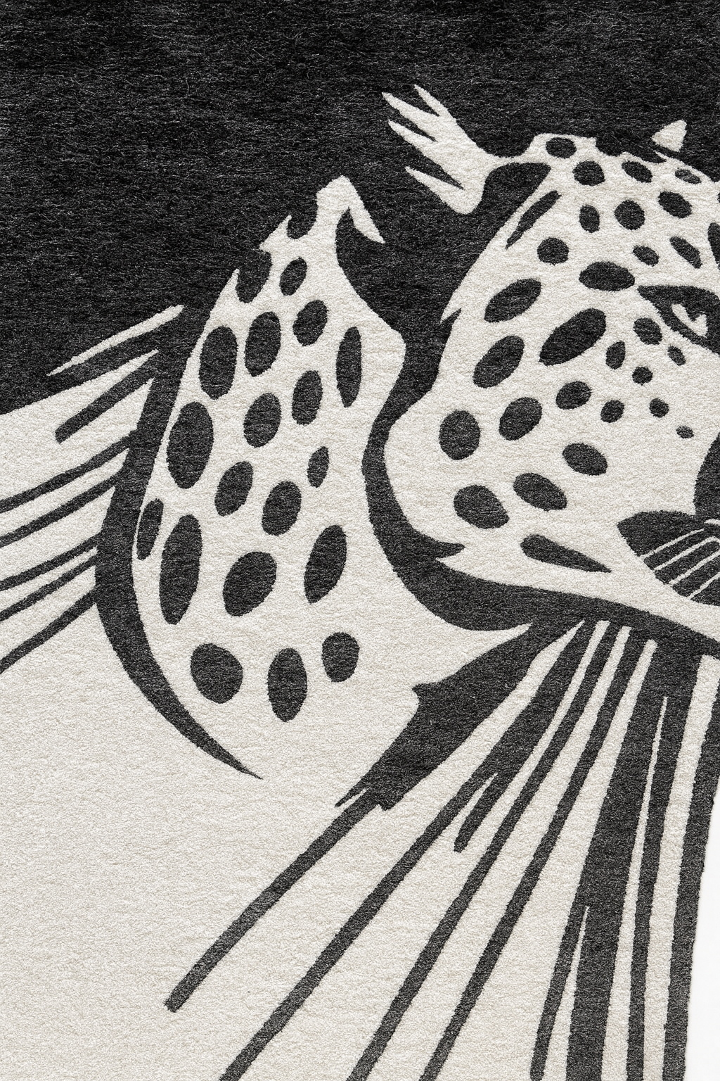 Majestic Gaze - BLACK